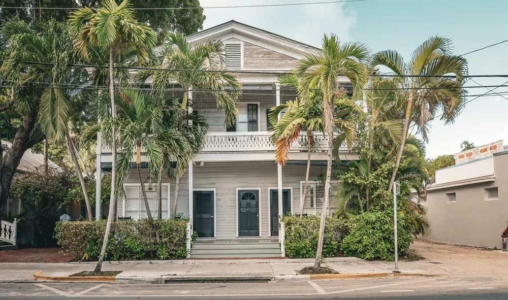 Stock photograph: a Florida home surrounded by palm trees.